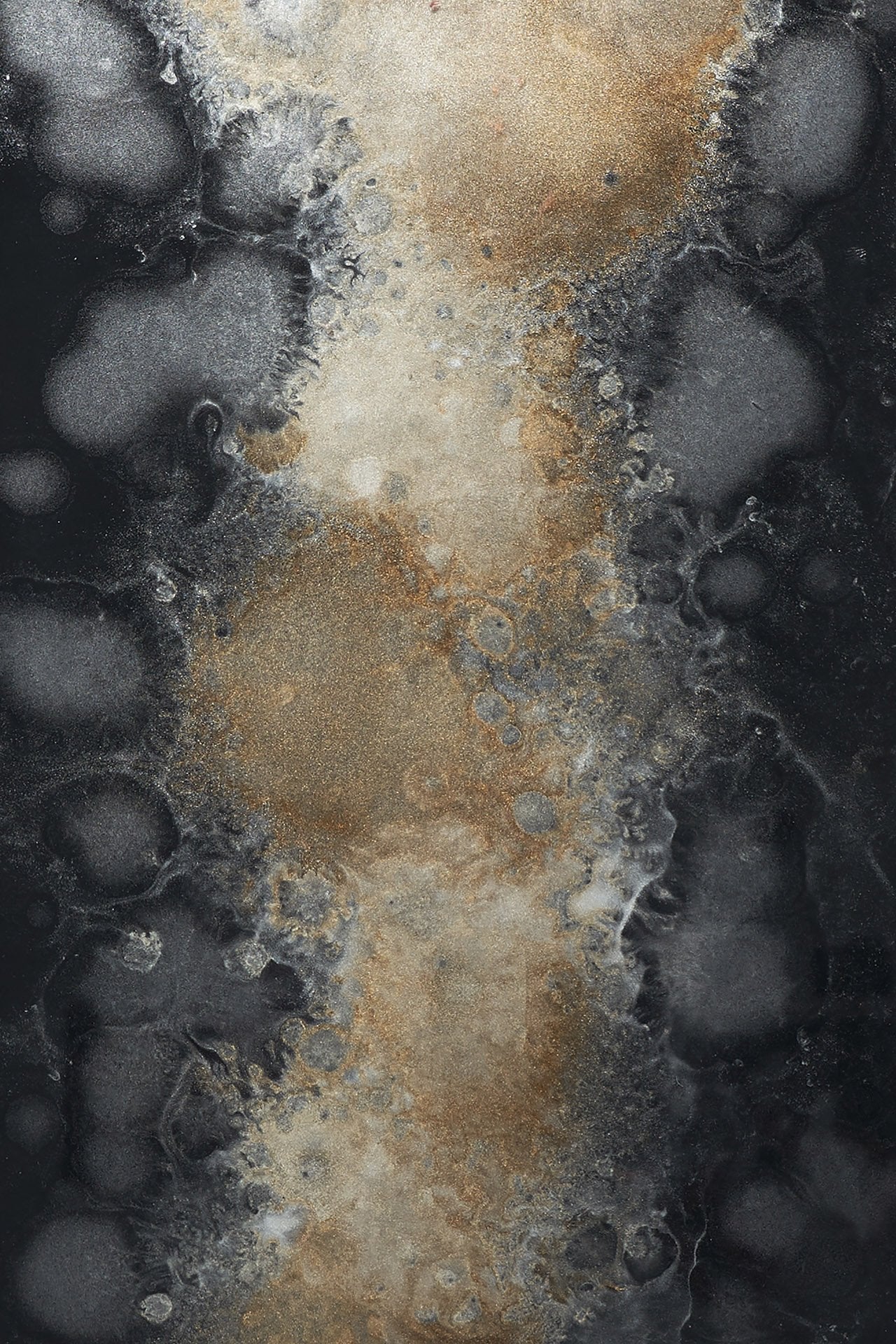 20466_20549
