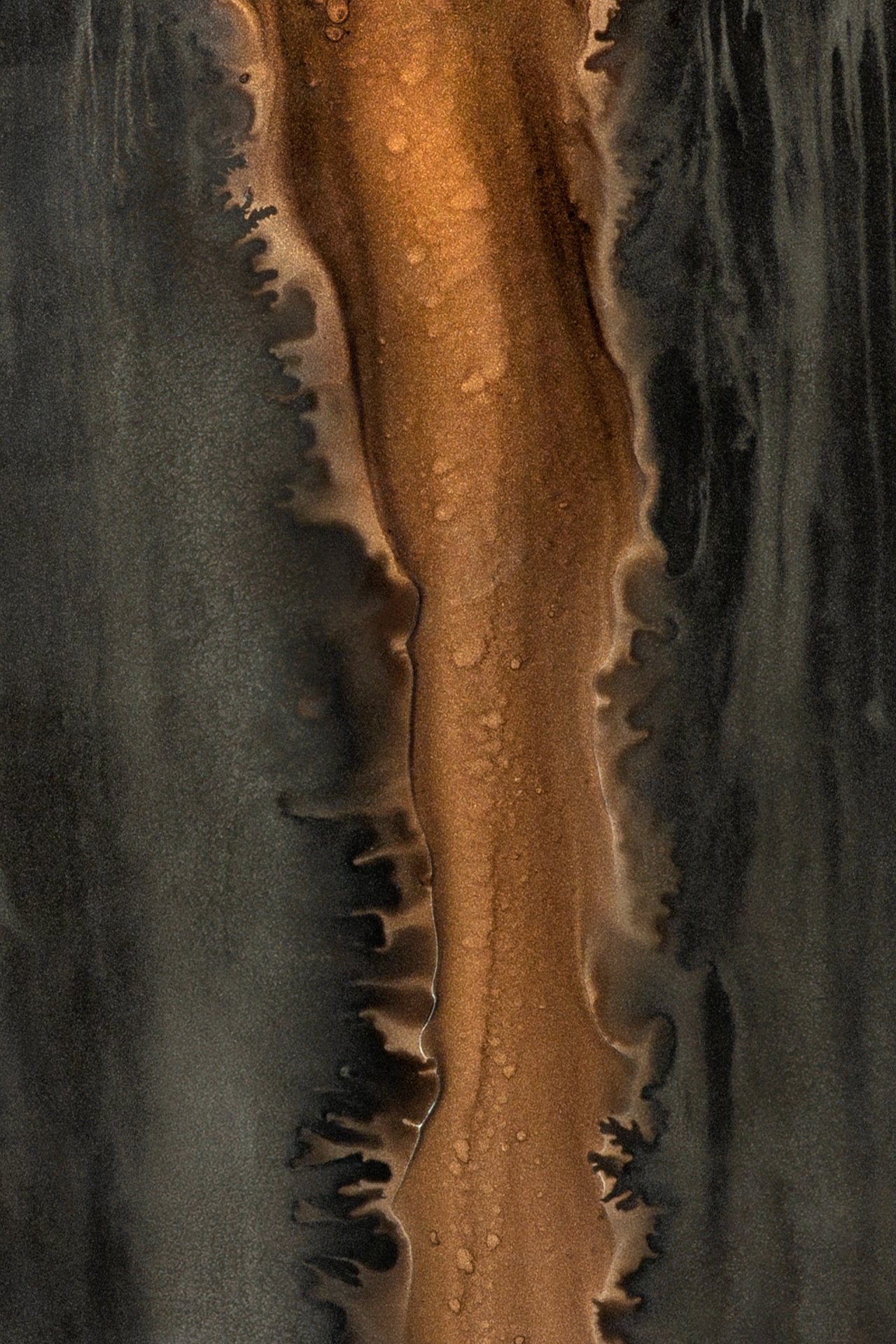 20469_20548