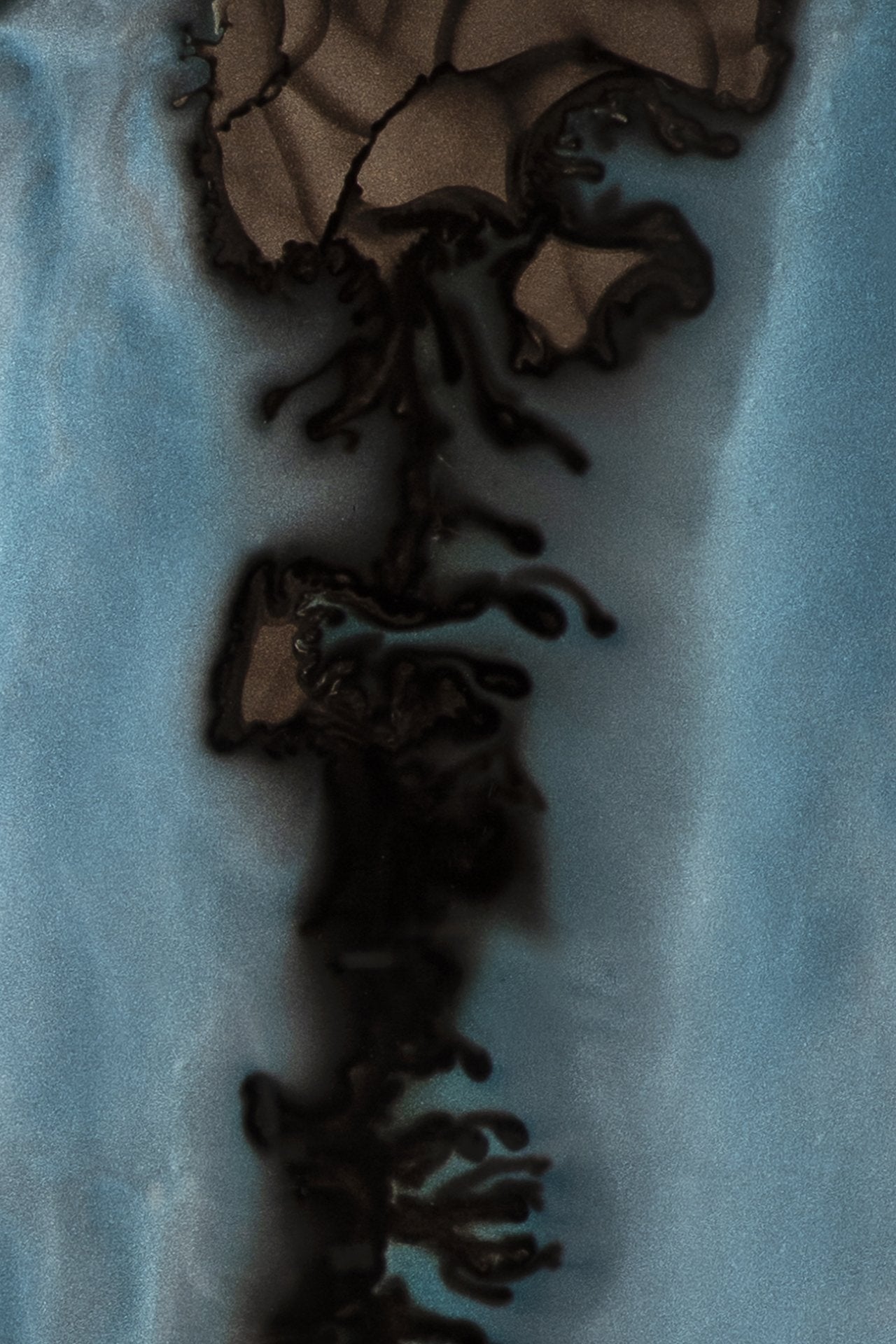 20546_20547