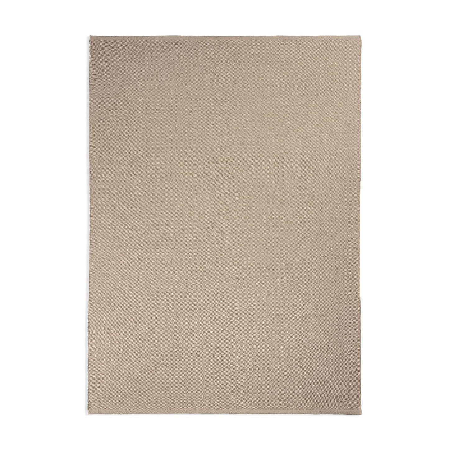 21204