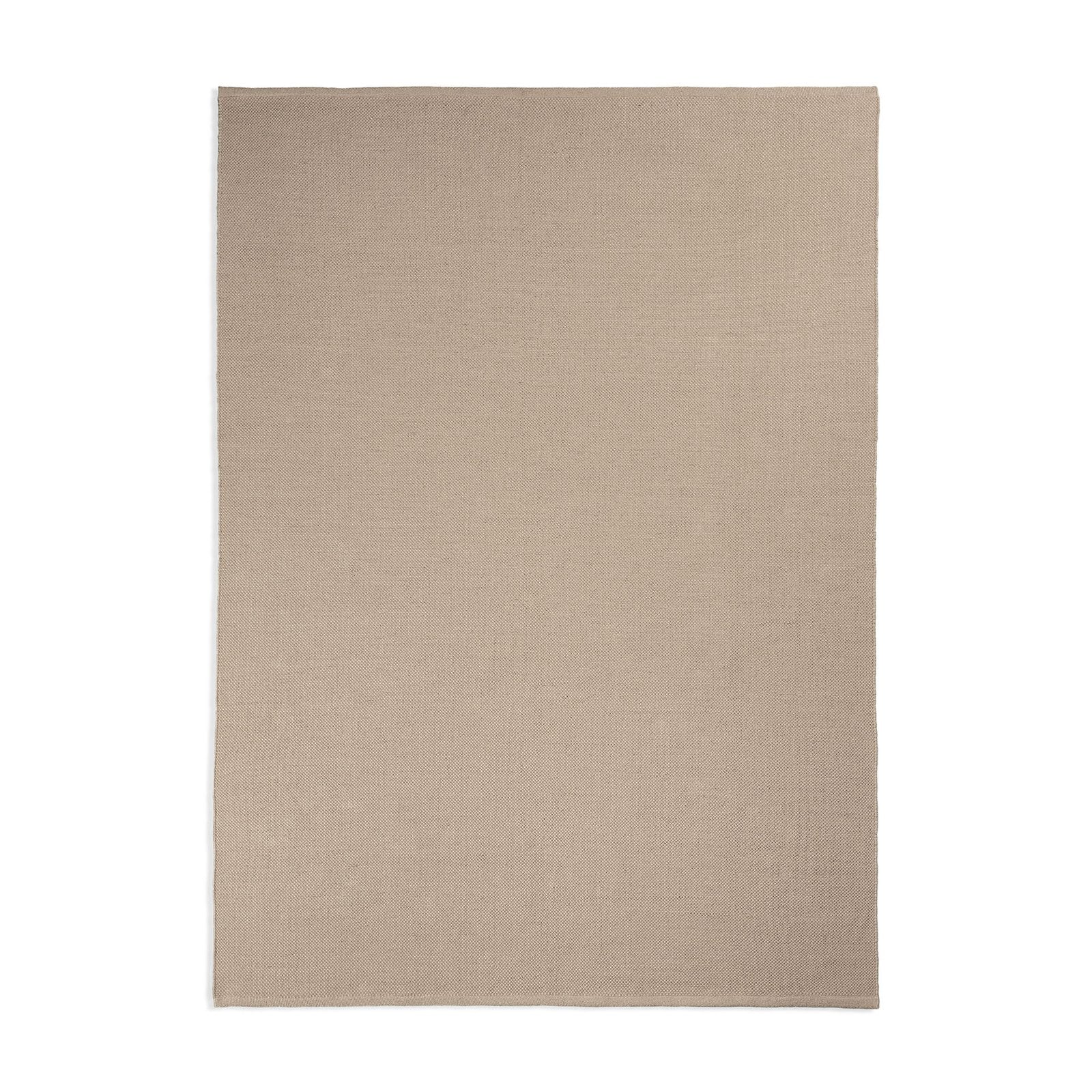 21204