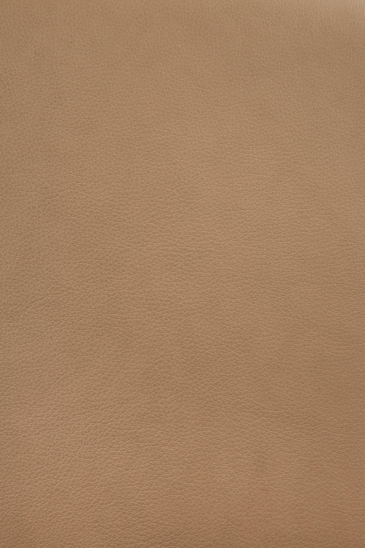 50674_51483