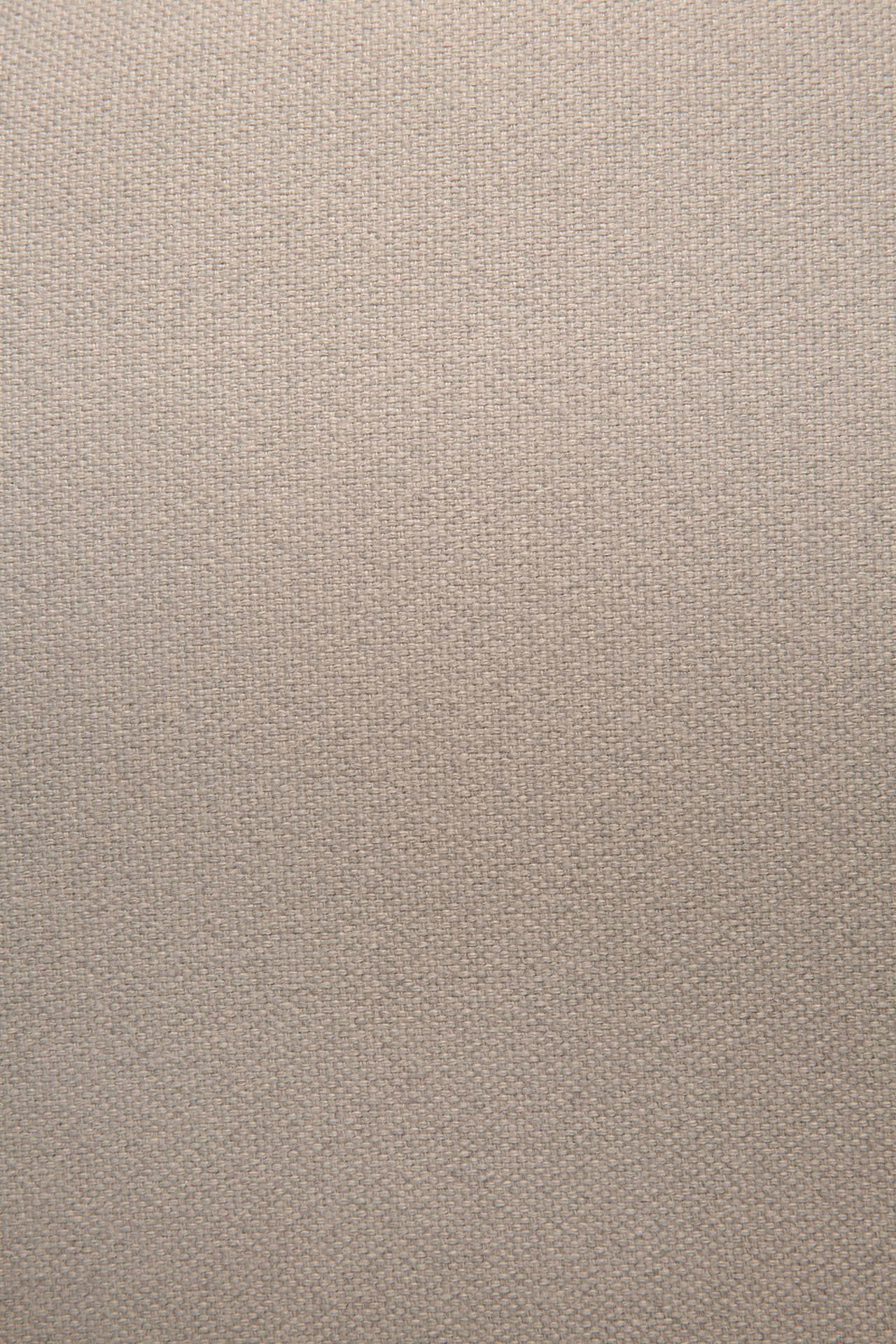 50695