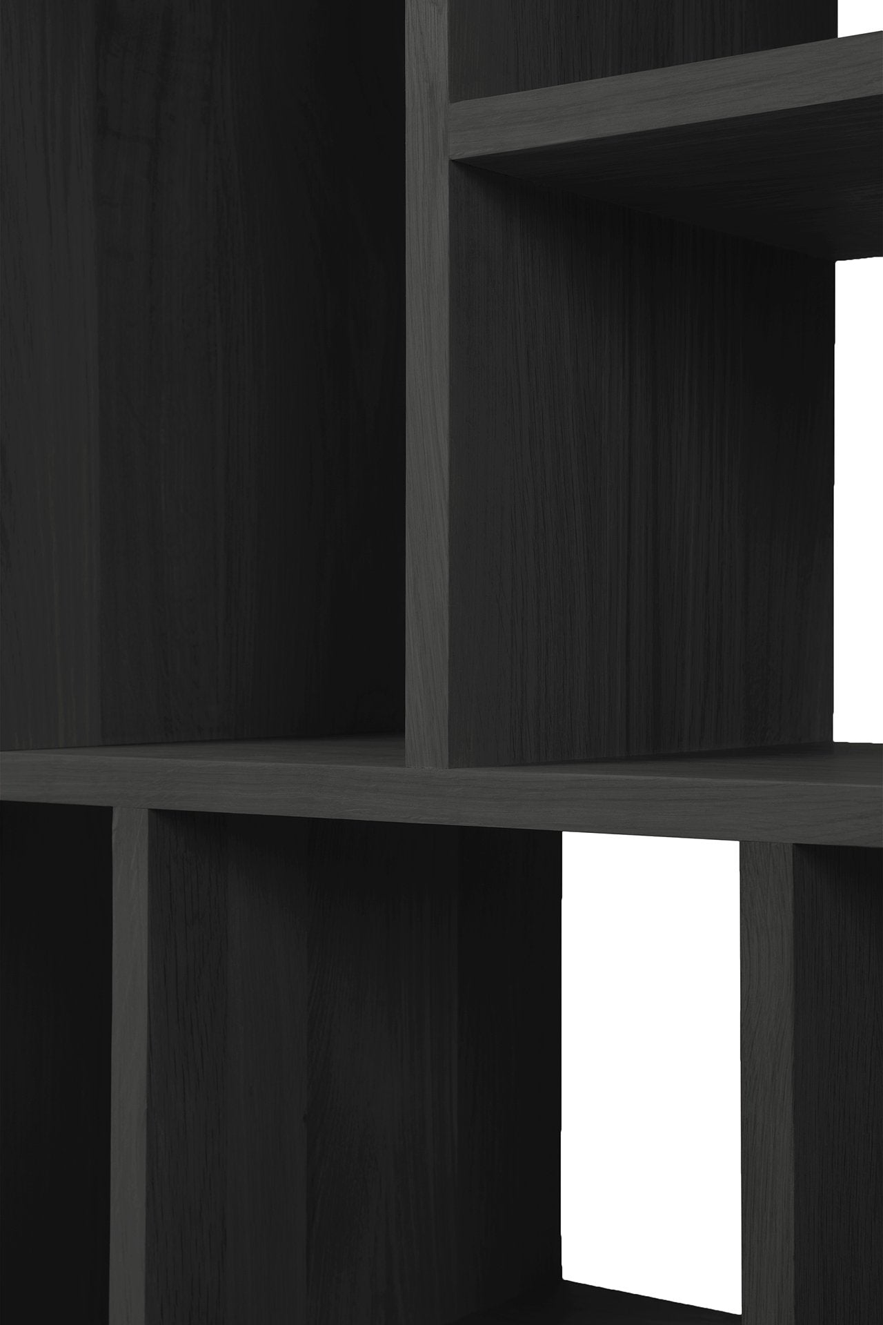 50781_50782