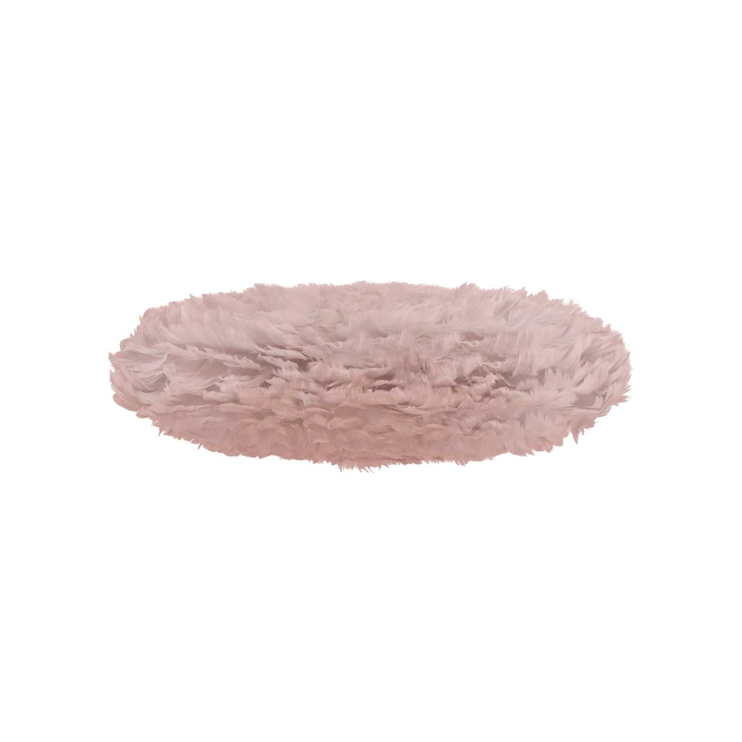 2462