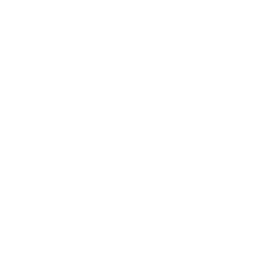 Ethnicraft